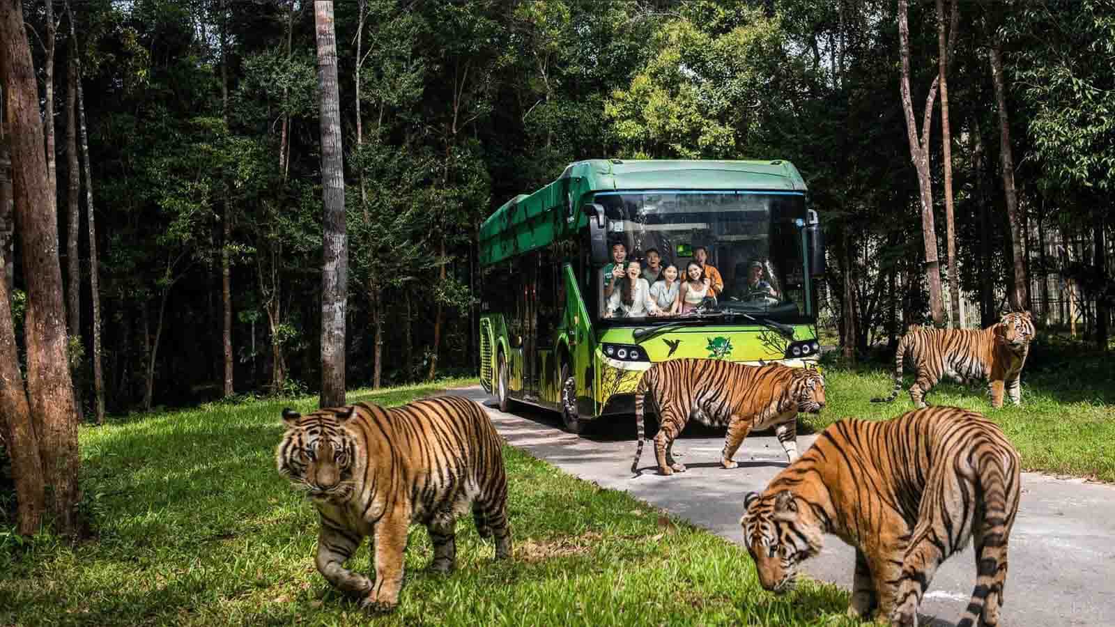 [COMBO VÉ] Vinpearl Safari + VinWonders Phú Quốc + Bảo tàng gấu DÙNG TRONG 2 NGÀY/ Đặt trước 1 ngày