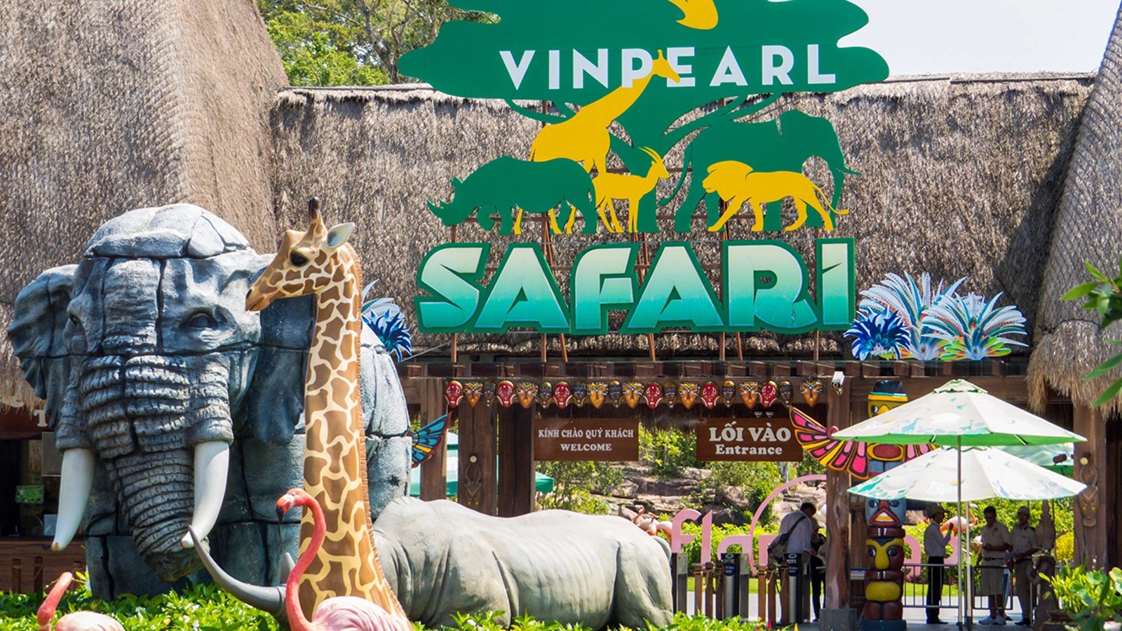 Combo Vinwonders - Safari - Bảo tàng gấu trong HAI NGÀY ra vào cửa KHÔNG GIỚI HẠN