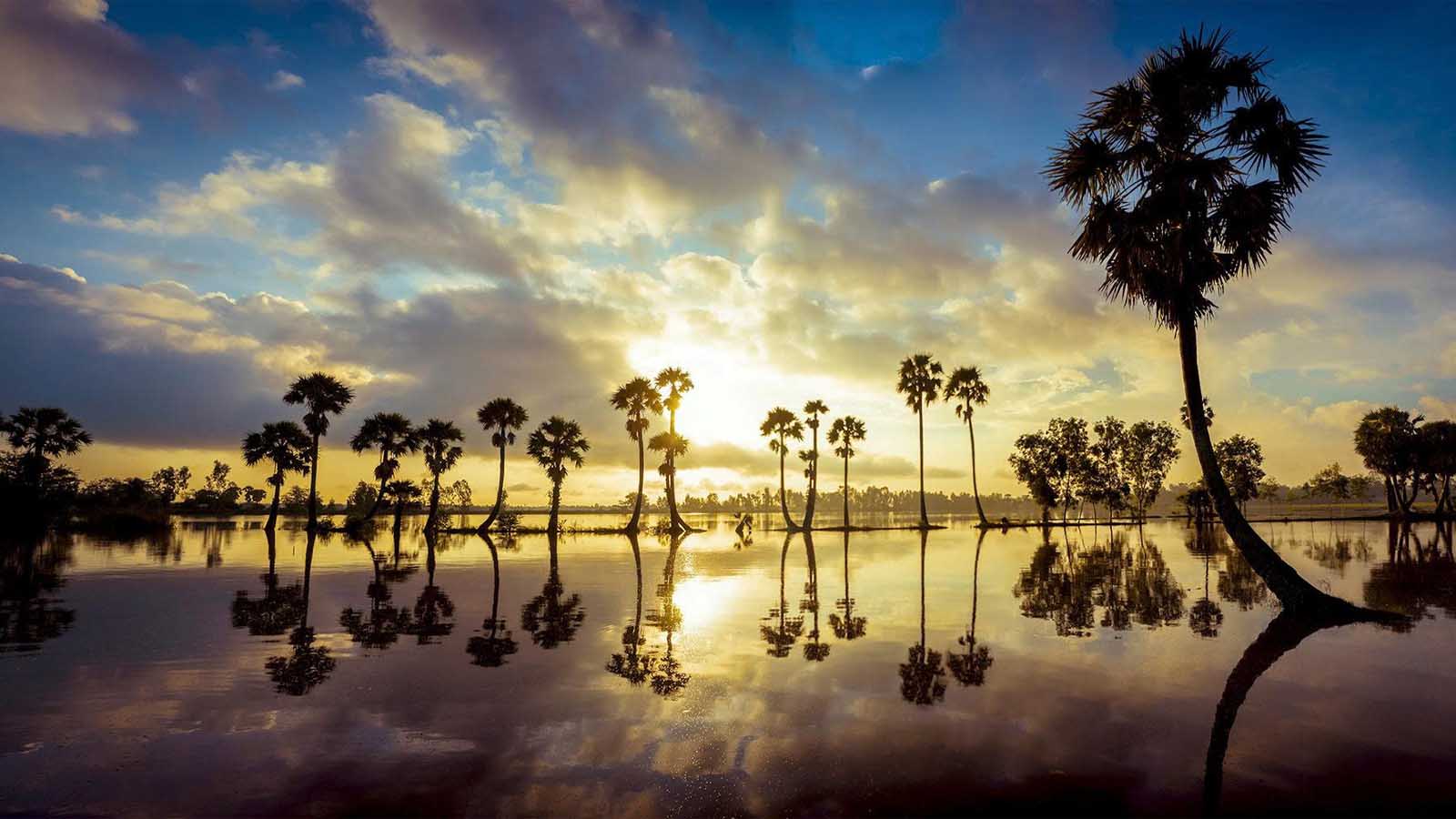ĐÀ NẴNG - HỒ CHÍ MINH - AN GIANG