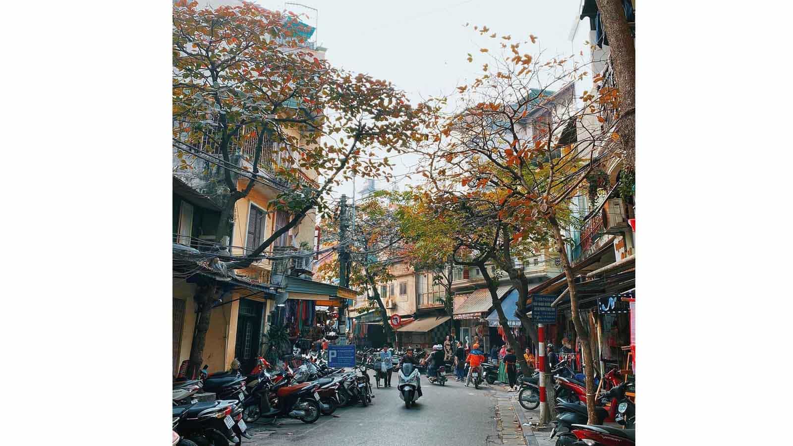 Đà Nẵng - Sapa - Fansipan - Cát Cát (Bao cáp, Không buffet)