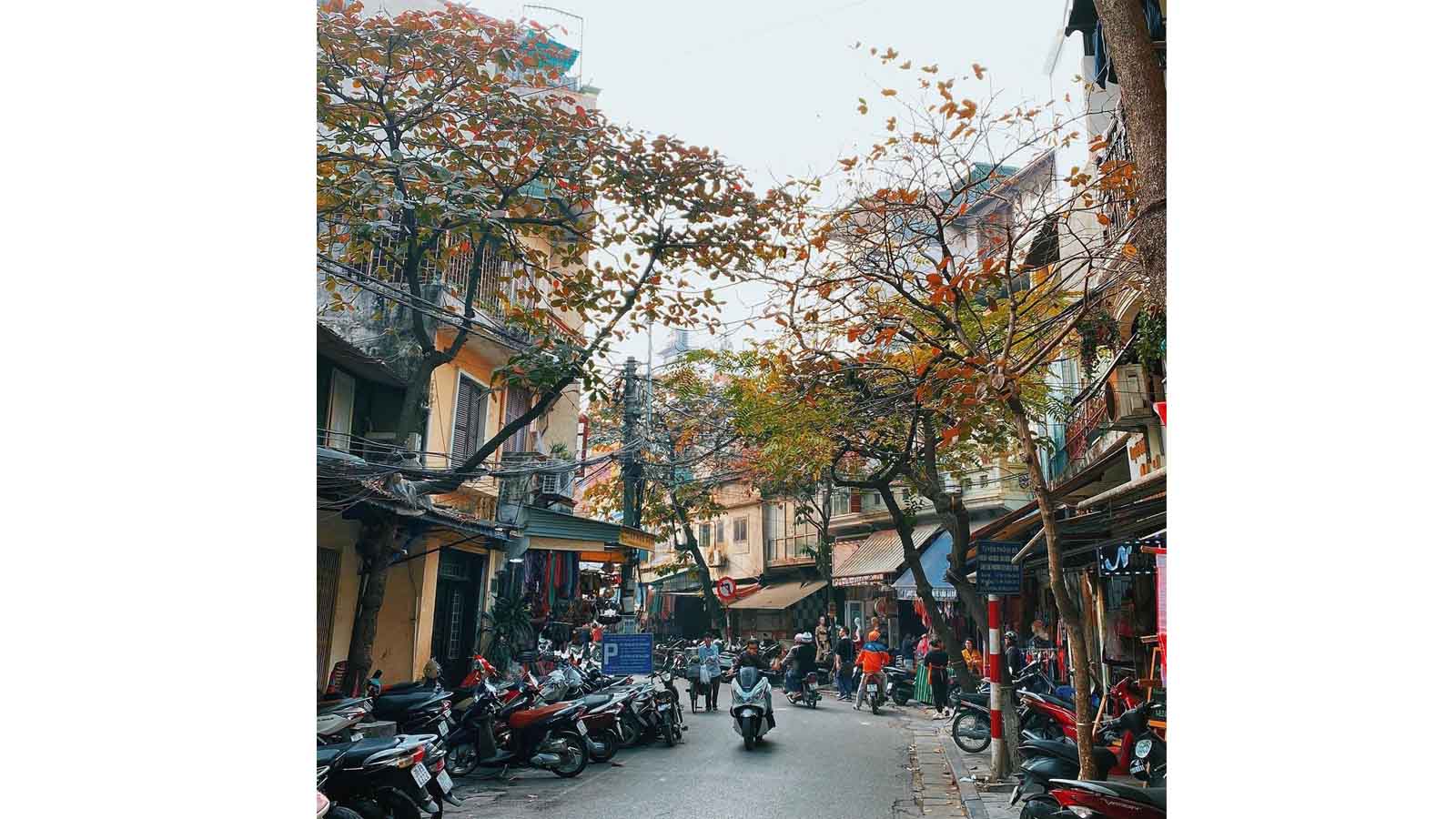Đà Nẵng - Sapa - Fansipan - Cát Cát (Bao cáp, Không buffet)