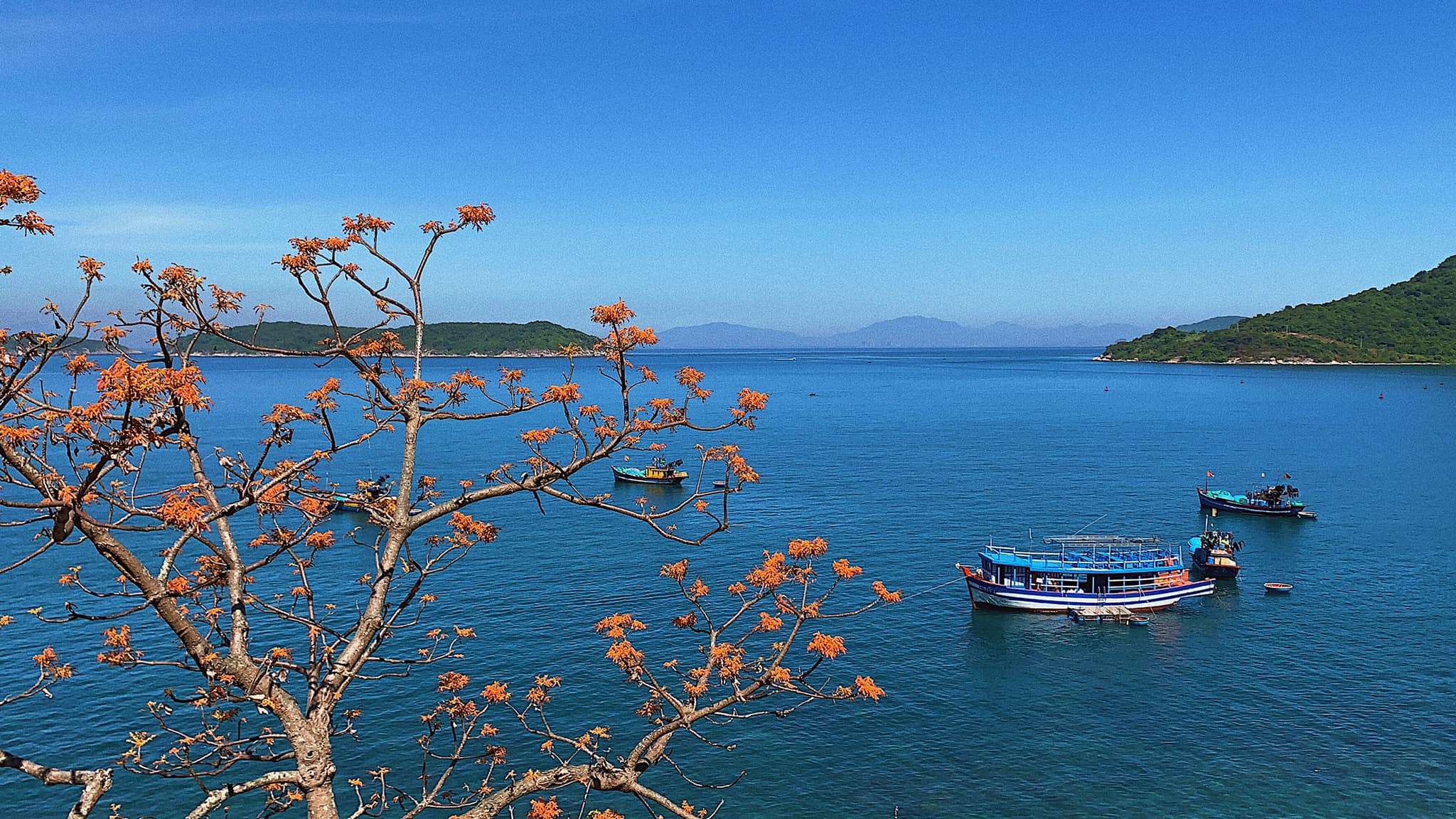 Tour Ghép Cù Lao Chàm Đón Cảng Khách Quốc Tế