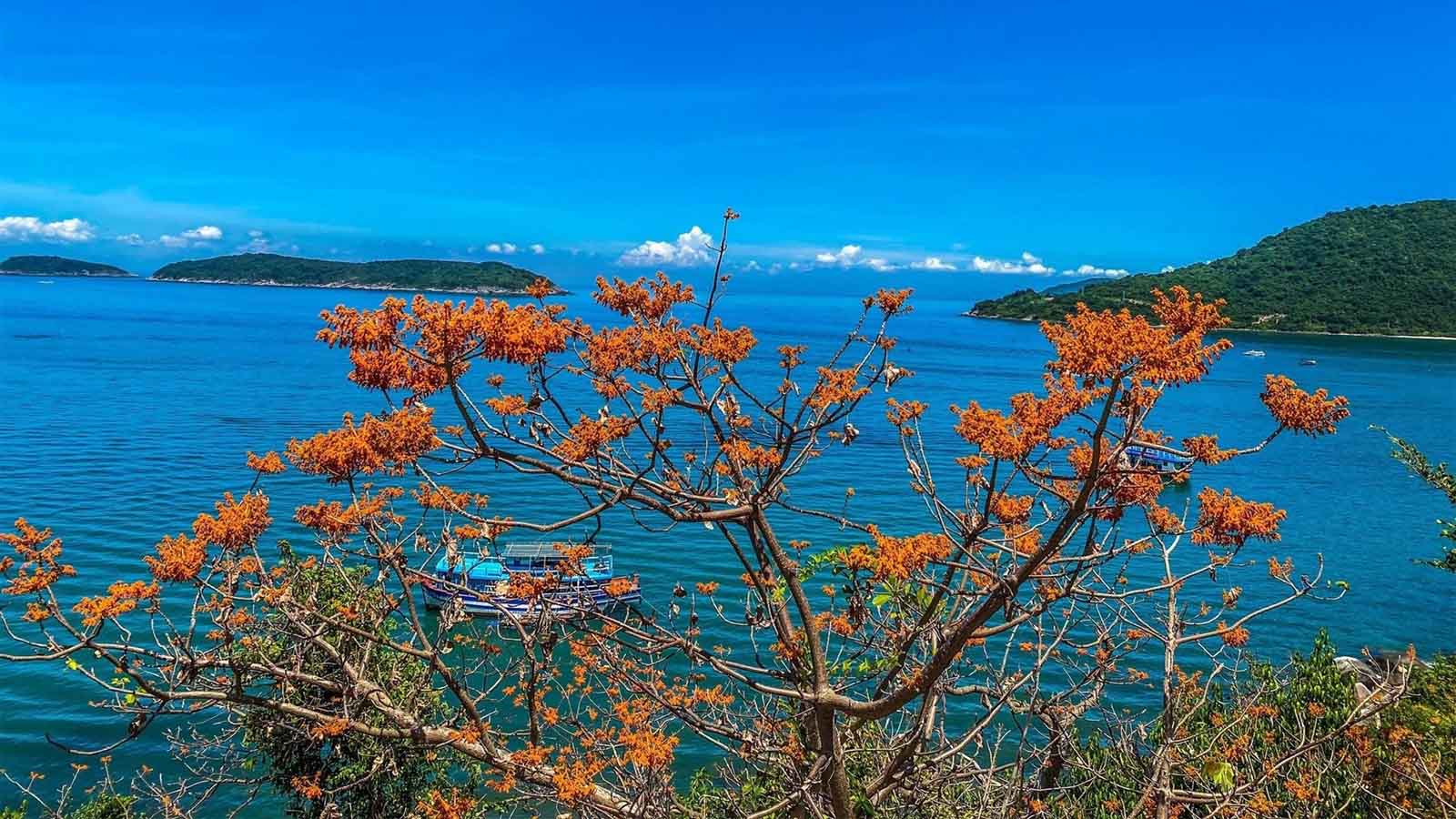 Tour Ghép Cù Lao Chàm Đón Cảng Khách Quốc Tế