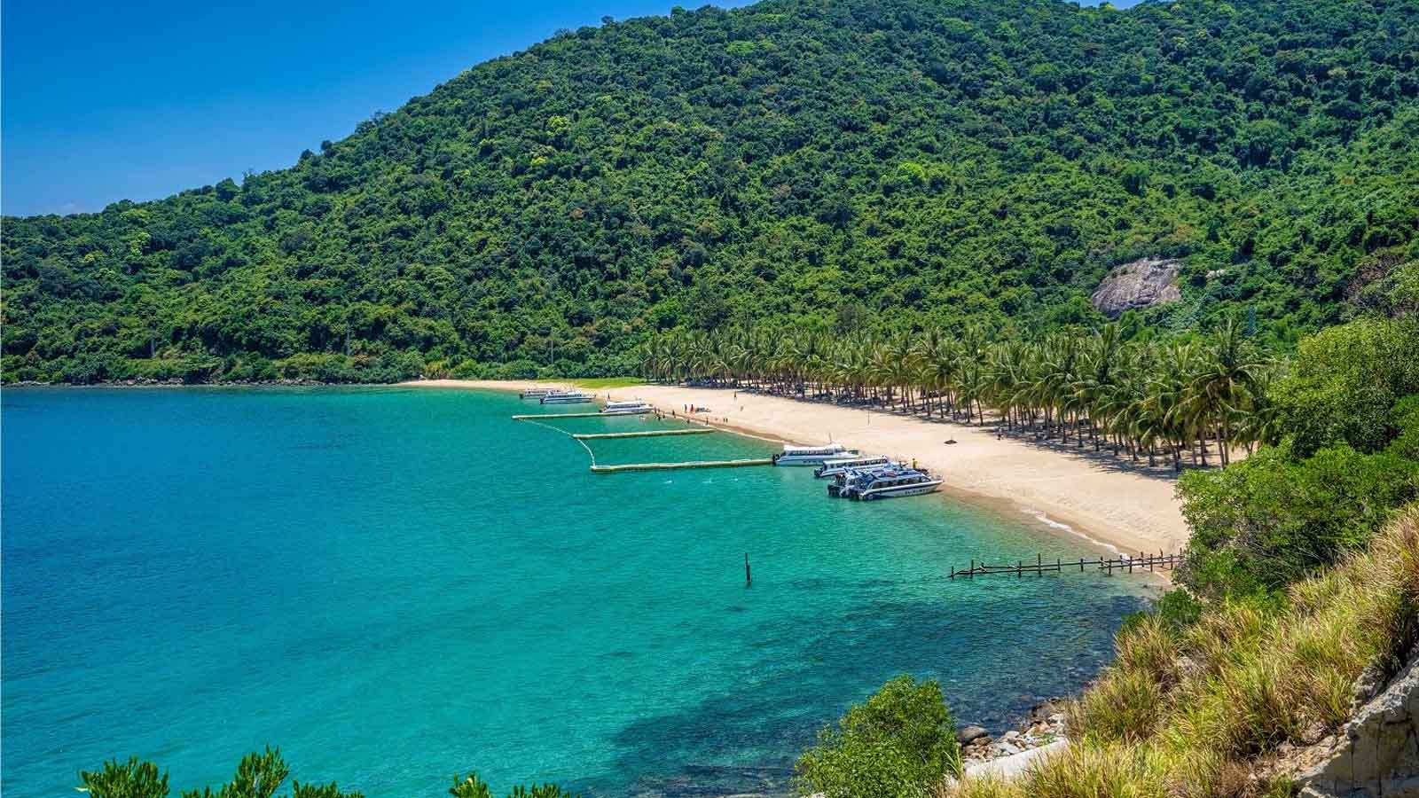 Tour Ghép Cù Lao Chàm Đón Cảng Khách Việt Nam