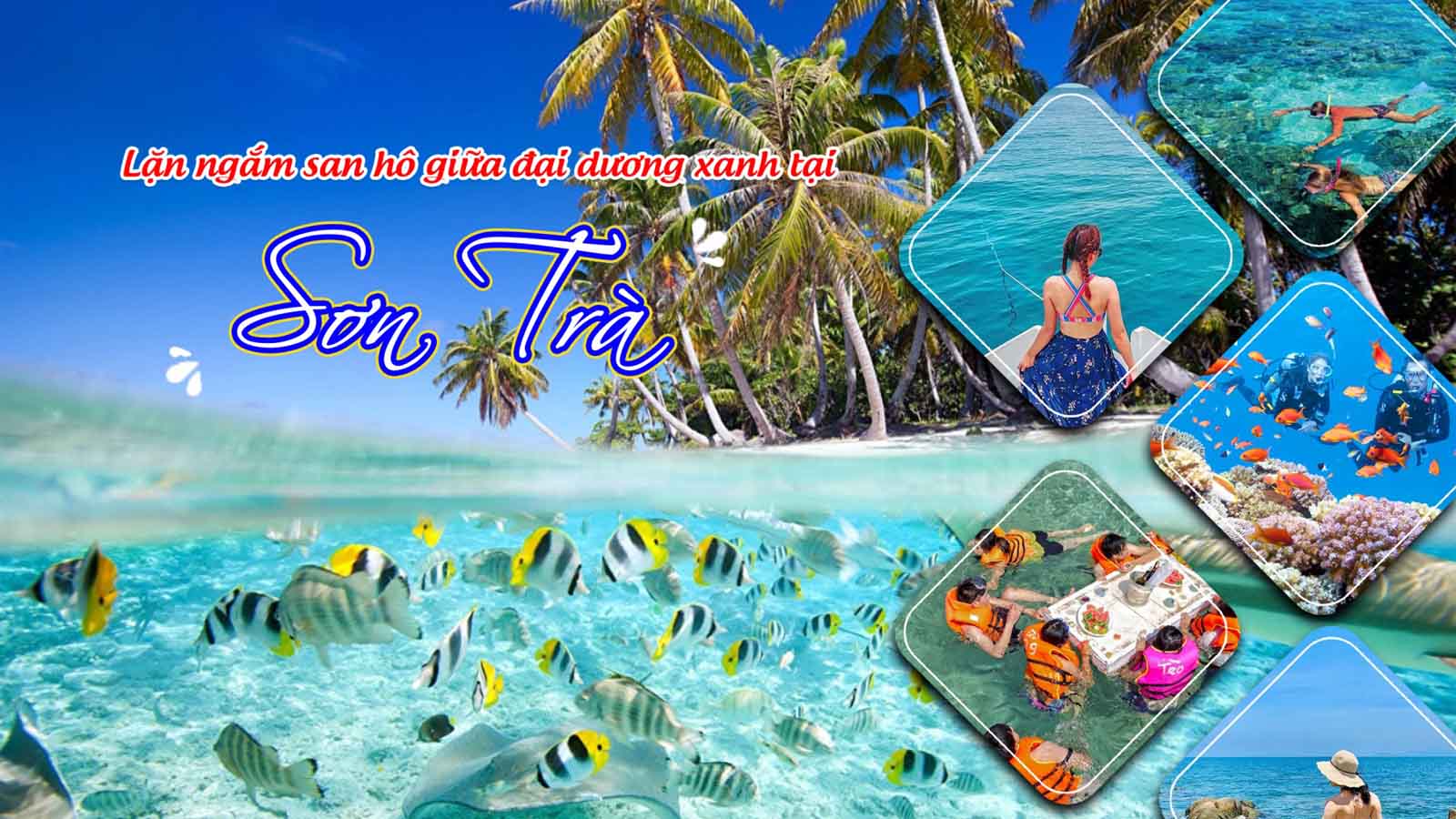 Tour Ghép Ngắm San Hô Tại Sơn Trà