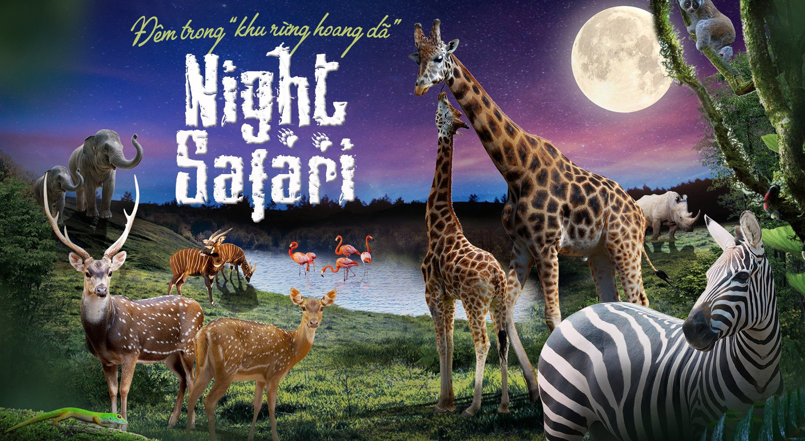 VIN SAFARI Phú Quốc (Night SAFARI)/ Đặt trước 1 ngày