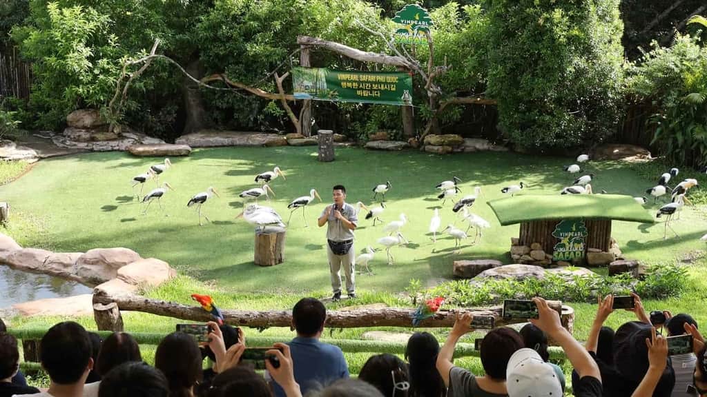 Vin Safari Admission Ticket + Tặng Food Voucher