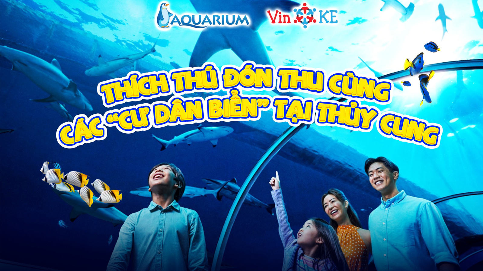 Vinke Aquarium Combo vé Thủy Cung và khu vui chơi mỗi khu 1 lần trong cùng 1 ngày (Cuối tuần)