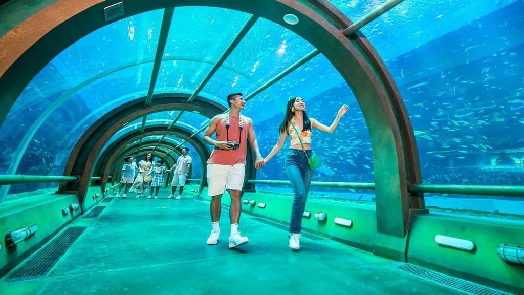 Vinke Aquarium Combo vé Vinke + Vuivuiland cuối tuần