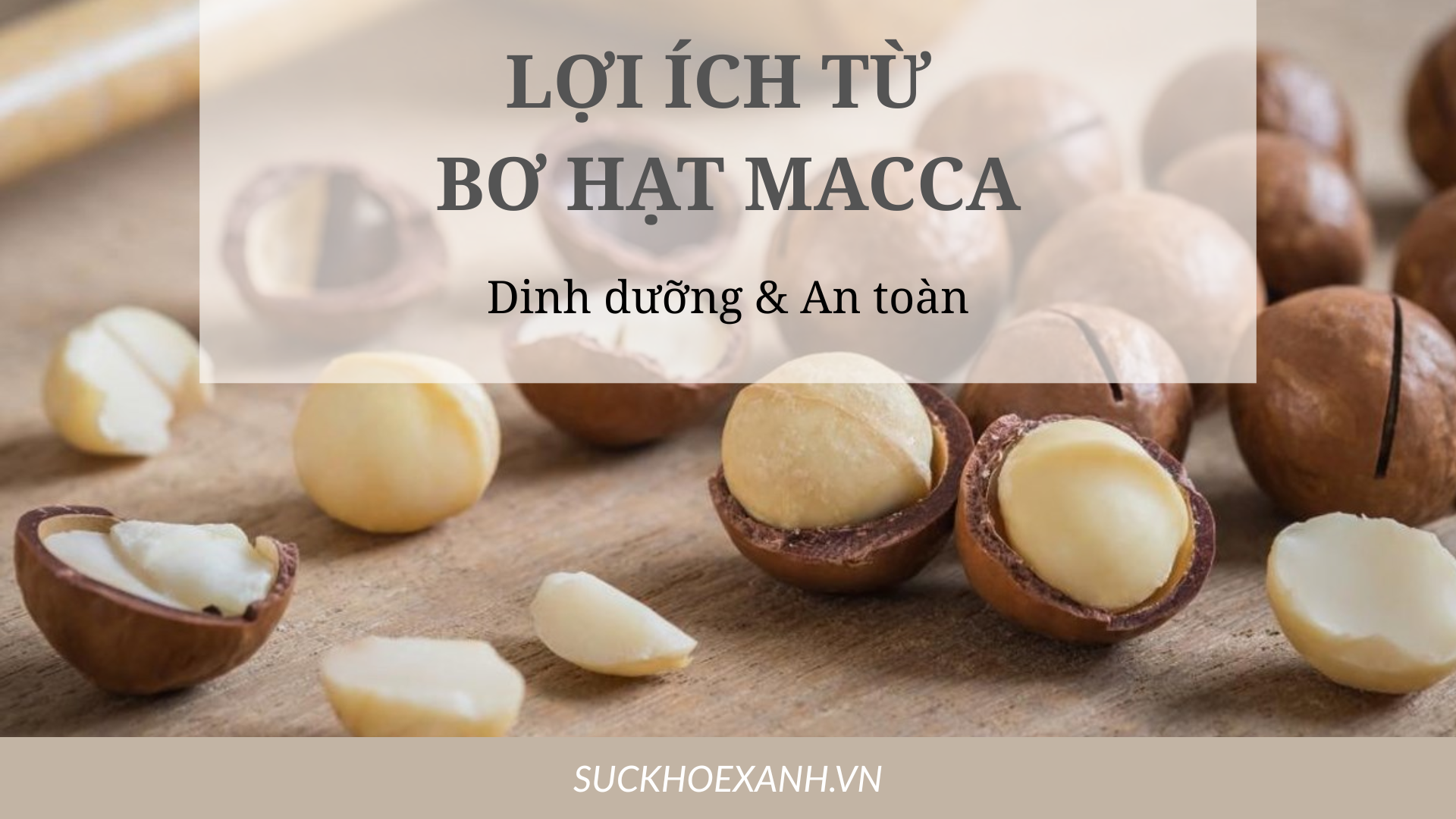 🌰 BƠ HẠT MẮC CA – NGUỒN NĂNG LƯỢNG THUẦN KHIẾT CHO BUỔI SÁNG NHẸ NHÀNG 💛
