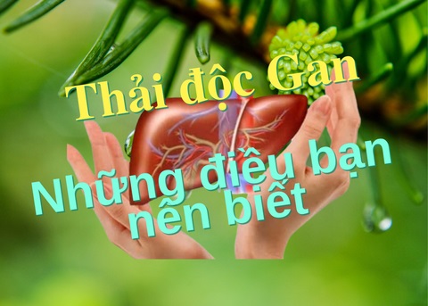 THẢI ĐỘC GAN - NHỮNG ĐIỀU BẠN NÊN BIẾT