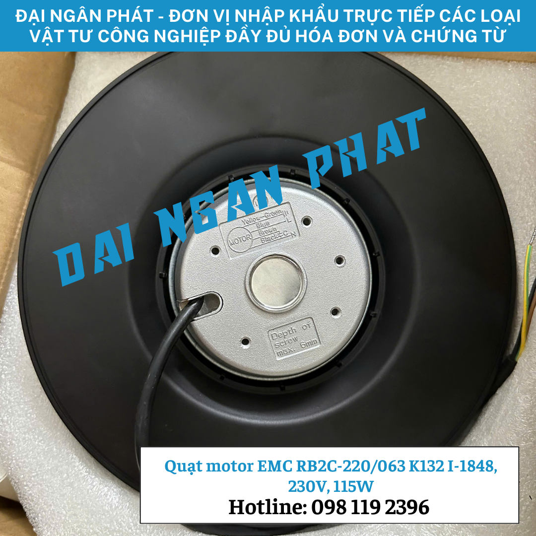 Quạt motor EMC RB2C-220 063 K132 I-1848, 230V, 115W