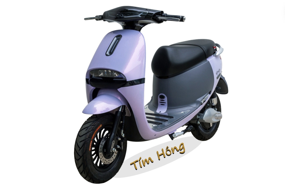 XE MÁY ĐIỆN GOGO Victoria V68-1 (Việt – Nhật)