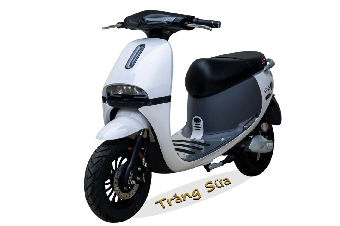 XE MÁY ĐIỆN GOGO Victoria V68-1 (Việt – Nhật)