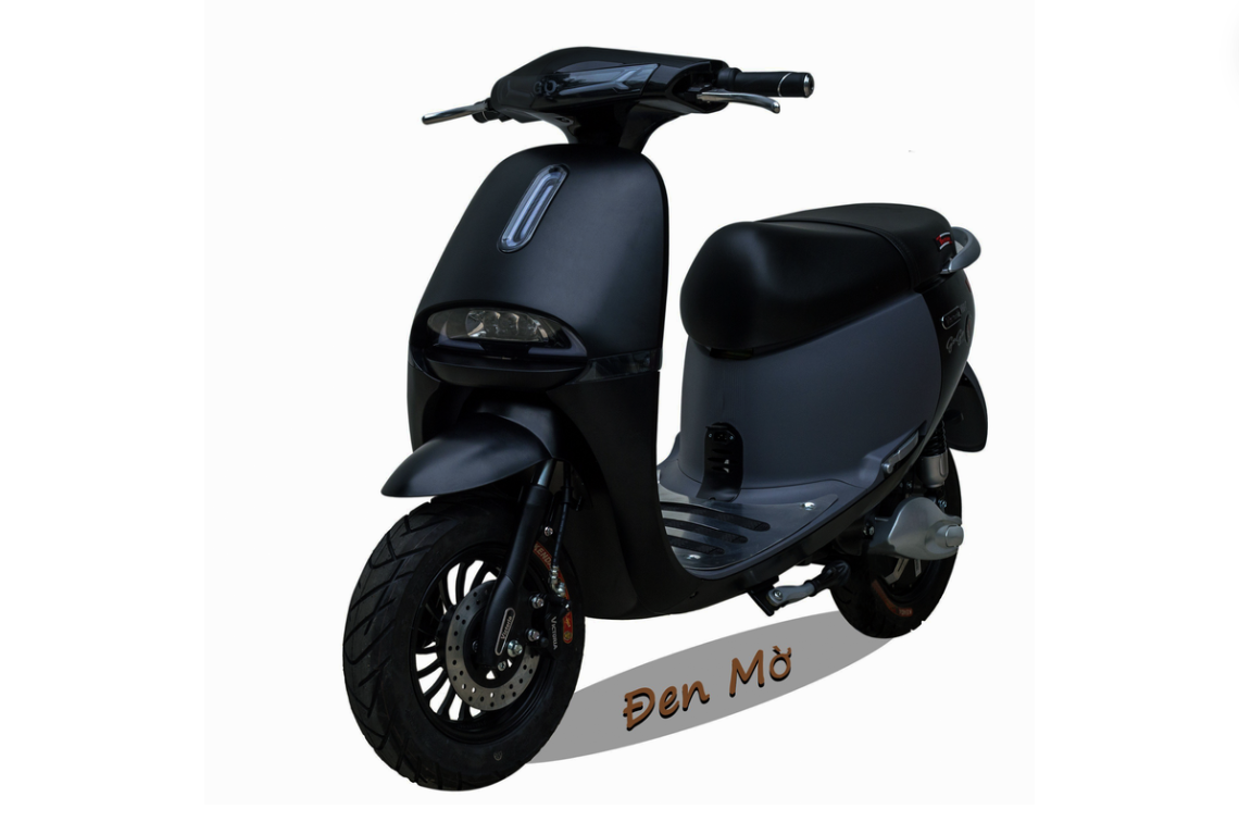 XE MÁY ĐIỆN GOGO Victoria V68-1 (Việt – Nhật)