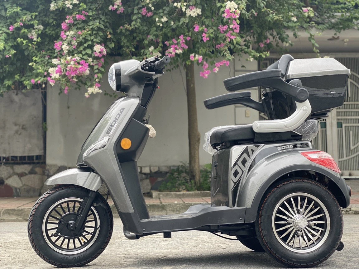 XE ĐIỆN 3 BÁNH VICTORY 2024