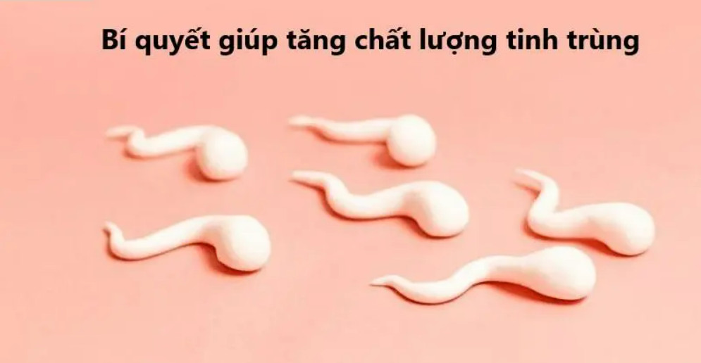 BÍ QUYẾT VÀNG GIÚP CẢI THIỆN CHẤT LƯỢNG TINH TRÙNG