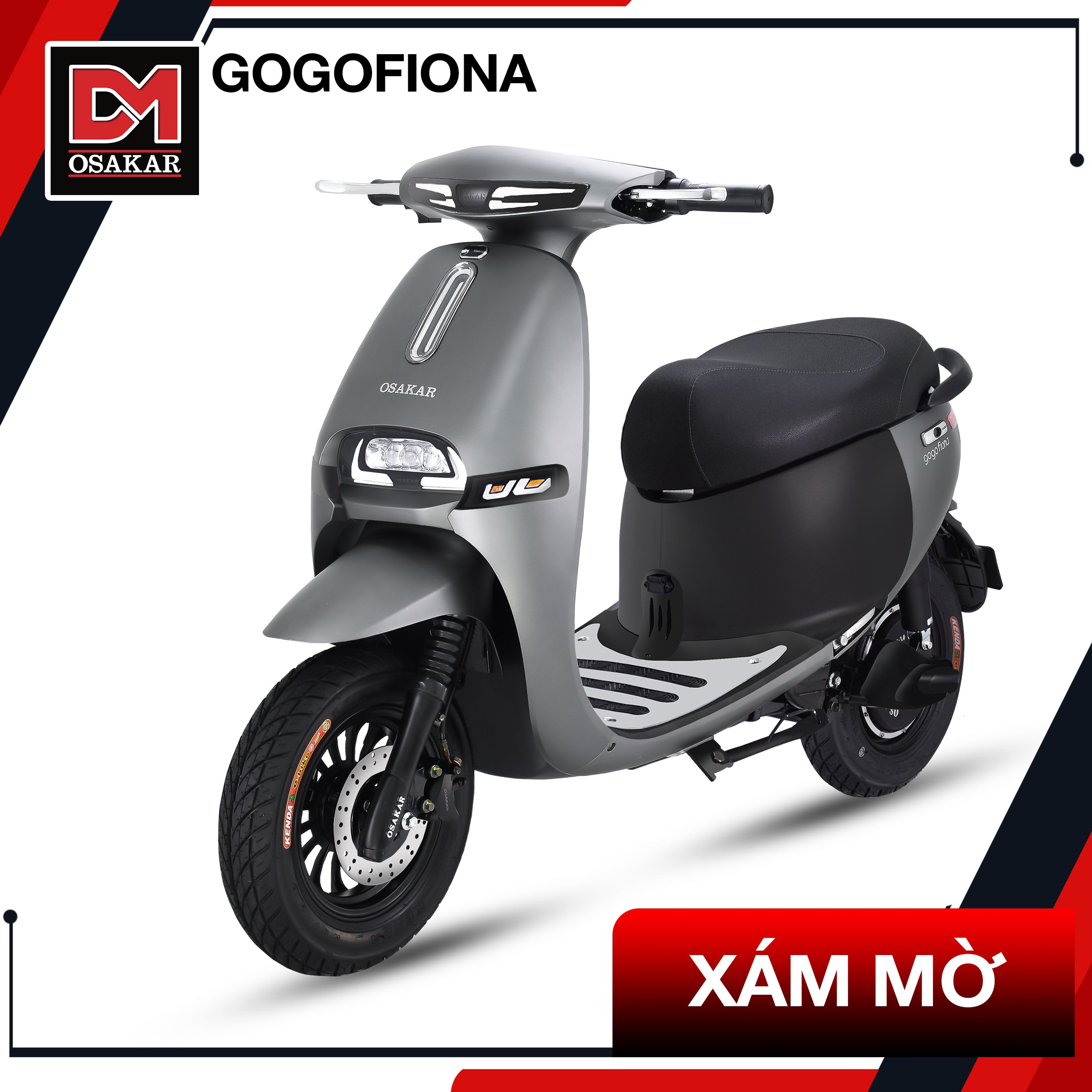Xe điện GOGO FIONA