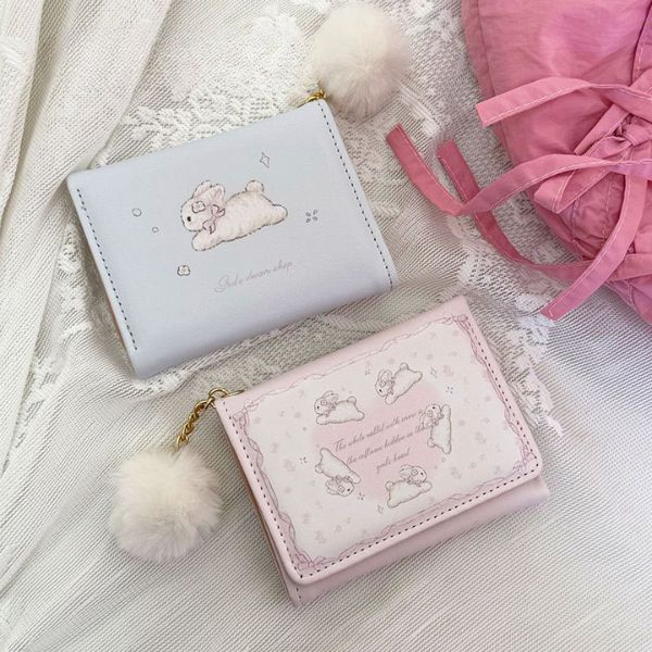 [ Set 5 Cái ] Ví Đựng Tiền - 922710