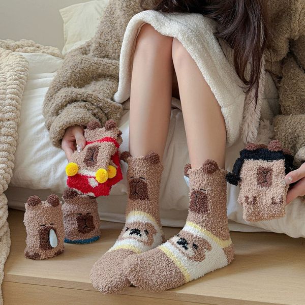 [ Set 5 Đôi ] Vớ Dài Mùa Đông Capybara [ Cotton / Có Tag Treo ] - 18034