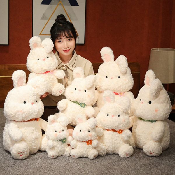 [ Set 2 Con ] Gấu Bông [ 45-55cm ] - 18578