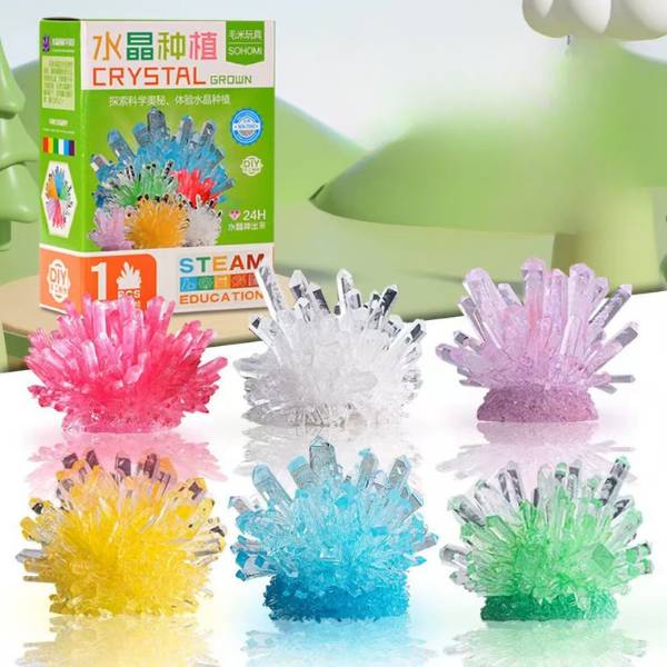 [ Set 10 Bộ ] Đồ Chơi Nuôi Tinh Thể Thí Nghiệm - 21466