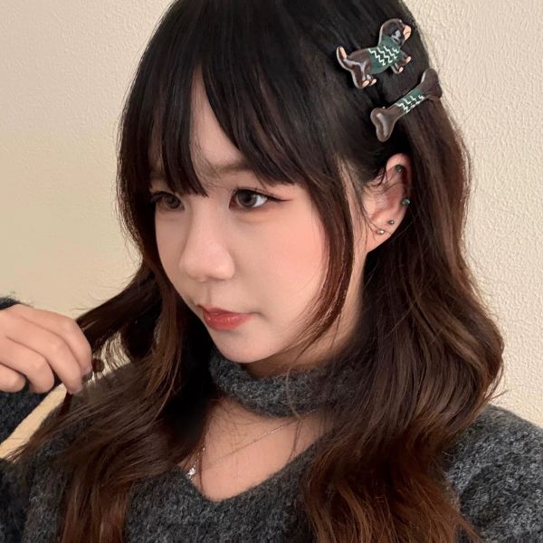 [ Set 12 Vỉ ] Kẹp Tóc [ Vỉ 2 Cái ] - 19553