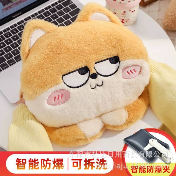 [ Set 2 Cái ] Túi Sưởi Điện - 20459