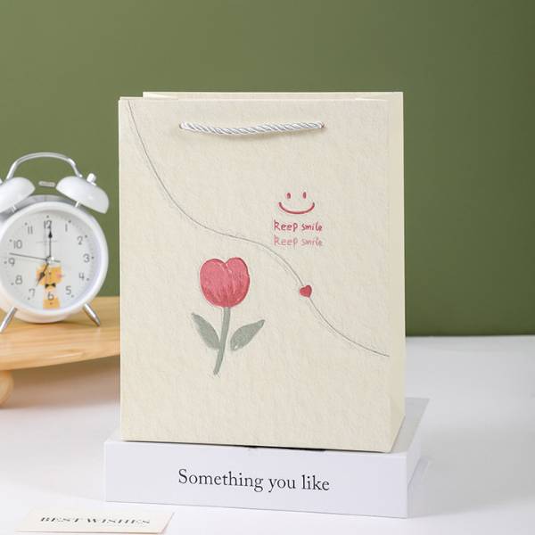 [ Set 24 Cái ] Túi Quà [ 19.5*10*14.5cm ] - 21093