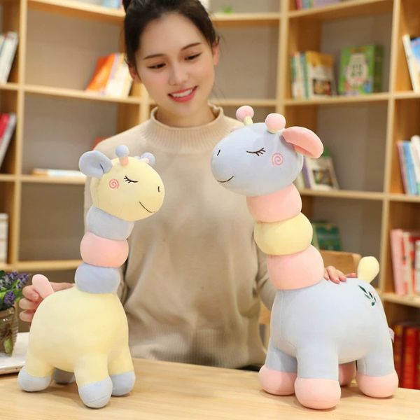 [ Set 2 Con ] Gấu Bông [ 36cm ] - 95544
