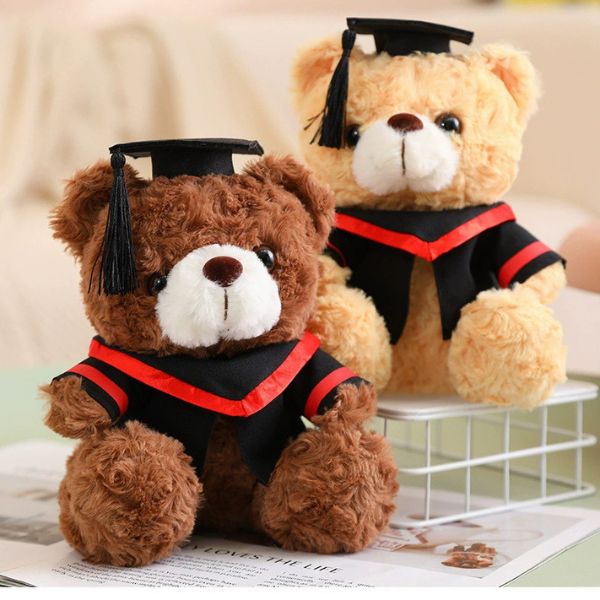 [ Set 5 Con ] Gấu Bông Tốt Nghiệp [ 23/28cm ] - 16249