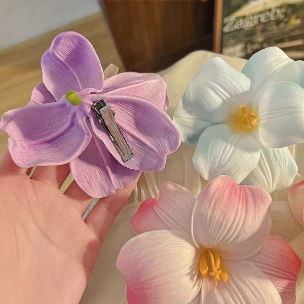 [ Set 12 Cái ] Kẹp Tóc - 16722