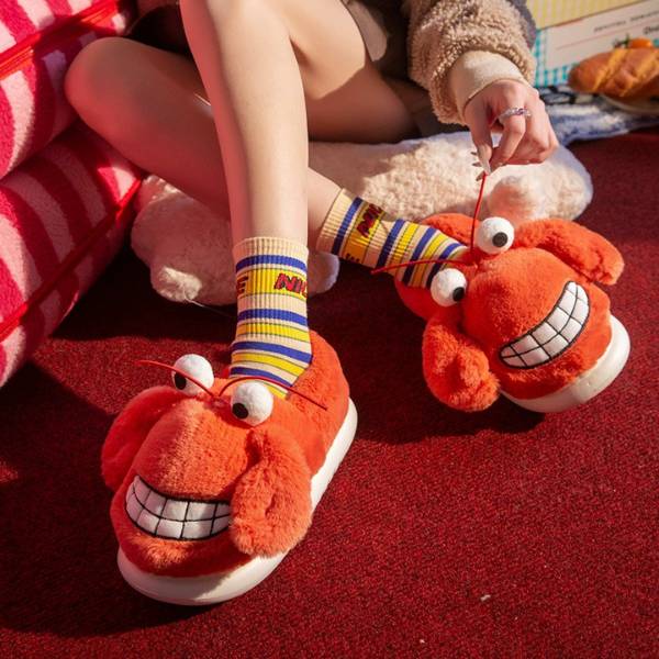 [ Set 2 Đôi ] Dép Bông [ Size : 36 > 45 ] - 20215