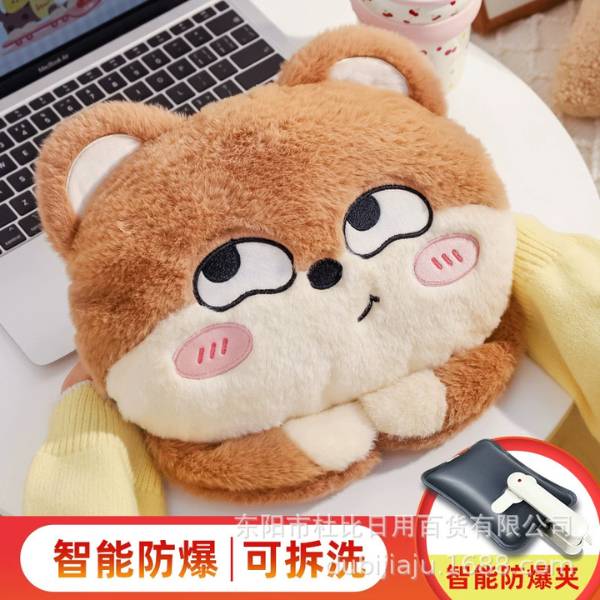 [ Set 2 Cái ] Túi Sưởi Điện - 20459