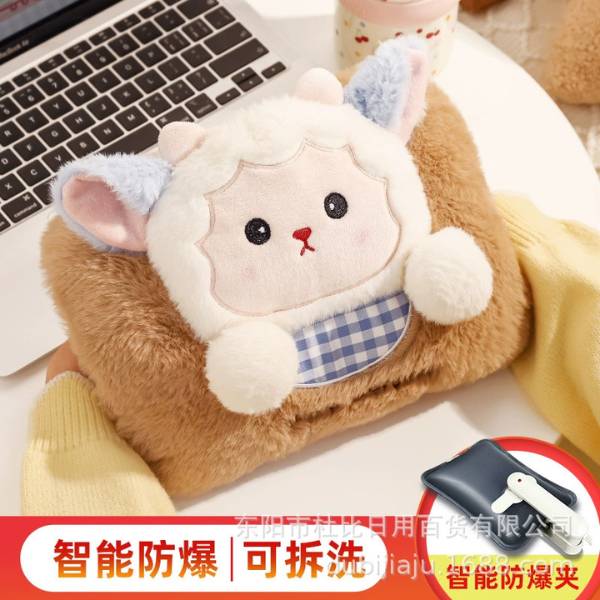 [ Set 2 Cái ] Túi Sưởi Điện - 20462