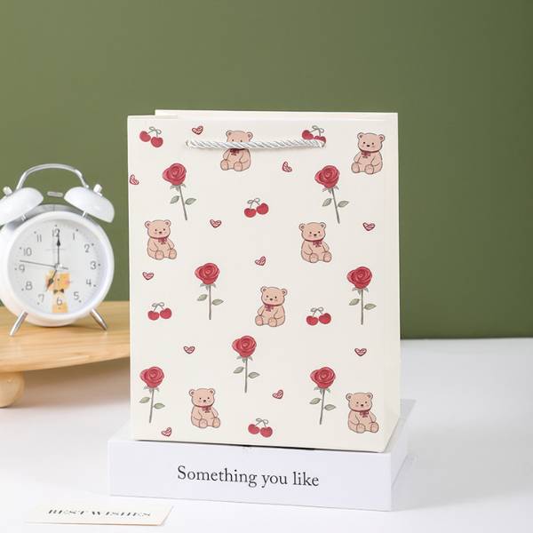 [ Set 24 Cái ] Túi Quà [ 19.5*10*14.5cm ] - 21093