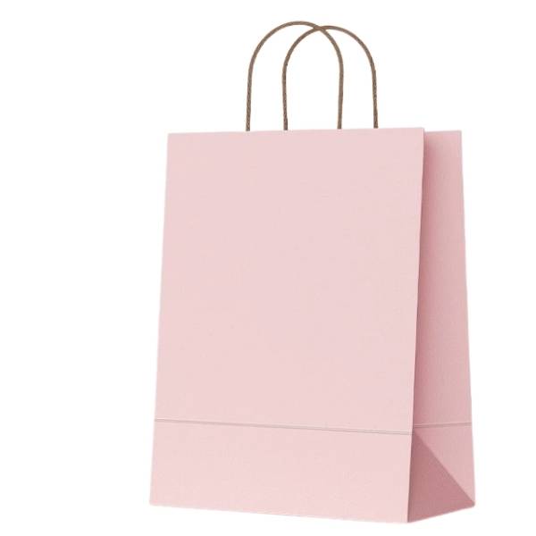 [ Set 50 Cái ] Túi Quà Pastel - 21840