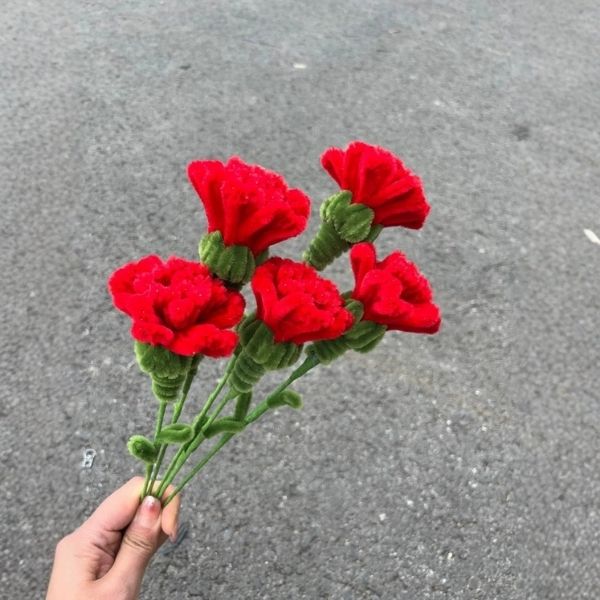 [ Set 10 Nhánh ] Hoa Cẩm Chướng Kẽm Nhung - 18185