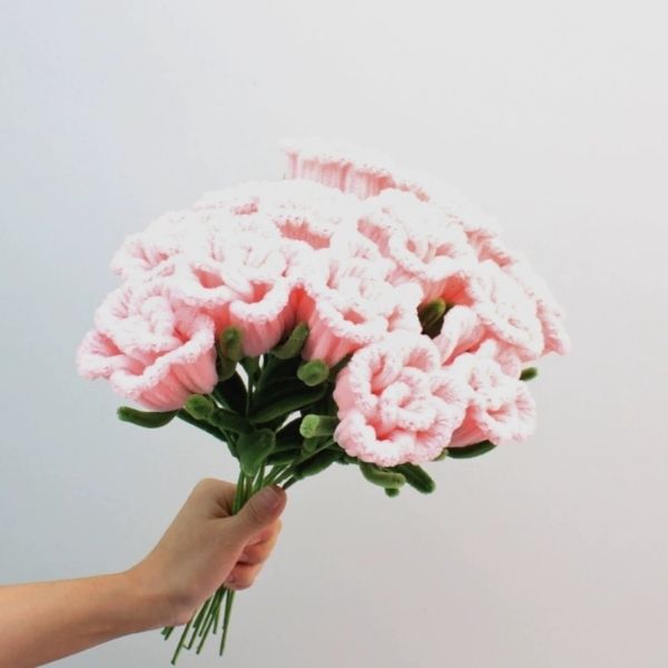 [ Set 10 Nhánh ] Hoa Cẩm Chướng Kẽm Nhung - 18185