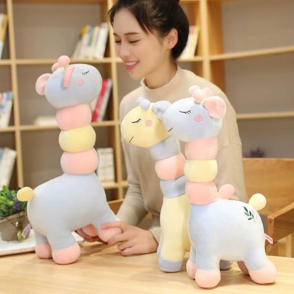 [ Set 2 Con ] Gấu Bông [ 36cm ] - 95544