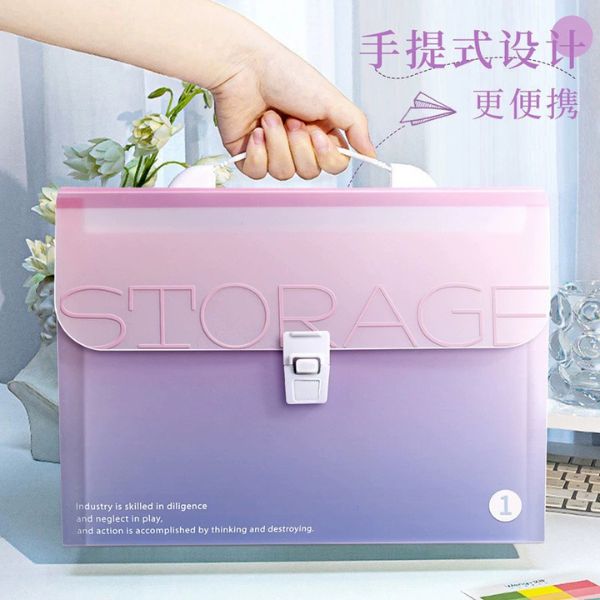[ Set 4 Túi ] Đựng Hồ Sơ Dung Tích Lớn[ A4 - 13 Ngăn ] - 96765