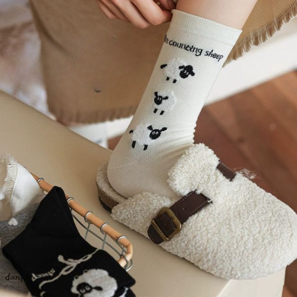 [ Set 12 Đôi ] Vớ Dài Thu Đông [ Cotton Dày ] - 16247