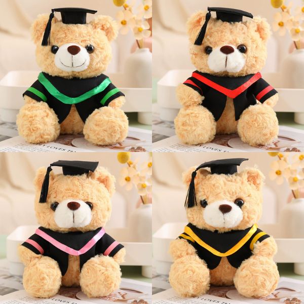 [ Set 5 Con ] Gấu Bông Tốt Nghiệp [ 23/28cm ] - 16249