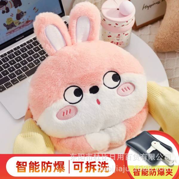 [ Set 2 Cái ] Túi Sưởi Điện - 20459