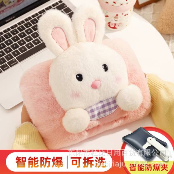 [ Set 2 Cái ] Túi Sưởi Điện - 20462