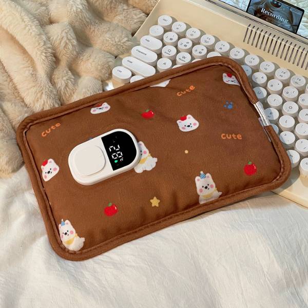 [ Set 2 Cái ] Túi Sưởi Điện Hiển Thị Nhiệt Độ - 21106