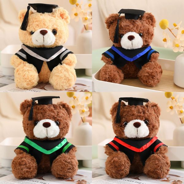 [ Set 5 Con ] Gấu Bông Tốt Nghiệp [ 23/28cm ] - 16249