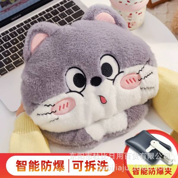 [ Set 2 Cái ] Túi Sưởi Điện - 20459