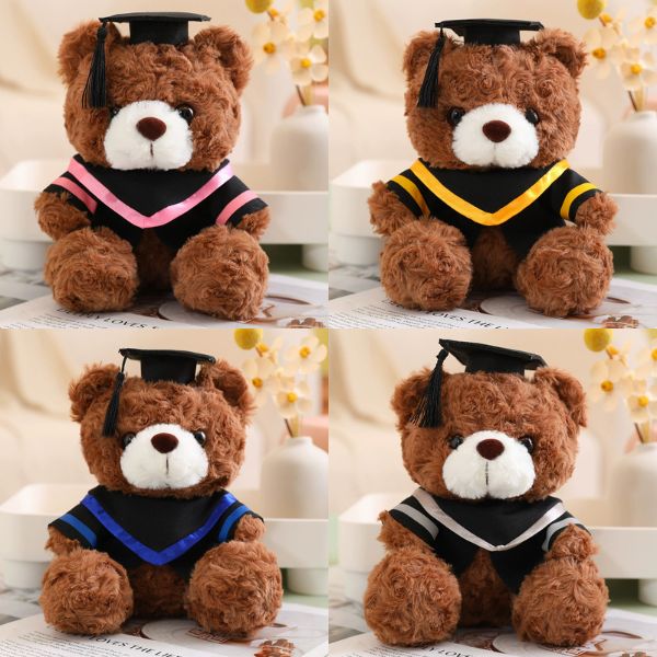 [ Set 5 Con ] Gấu Bông Tốt Nghiệp [ 23/28cm ] - 16249