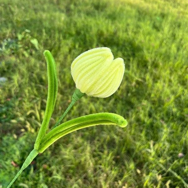 [ Set 20 Nhánh ] Hoa Tulip Kẽm Nhung - 18188